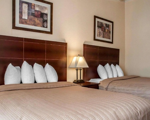 Quality Inn Buffalo Airport image 18