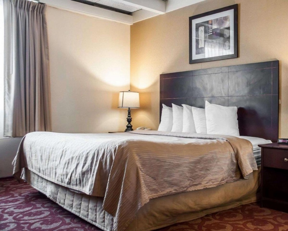 Quality Inn Buffalo Airport Image 19