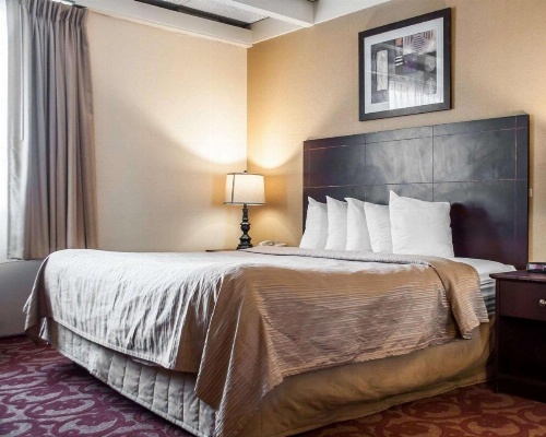 Quality Inn Buffalo Airport image 19